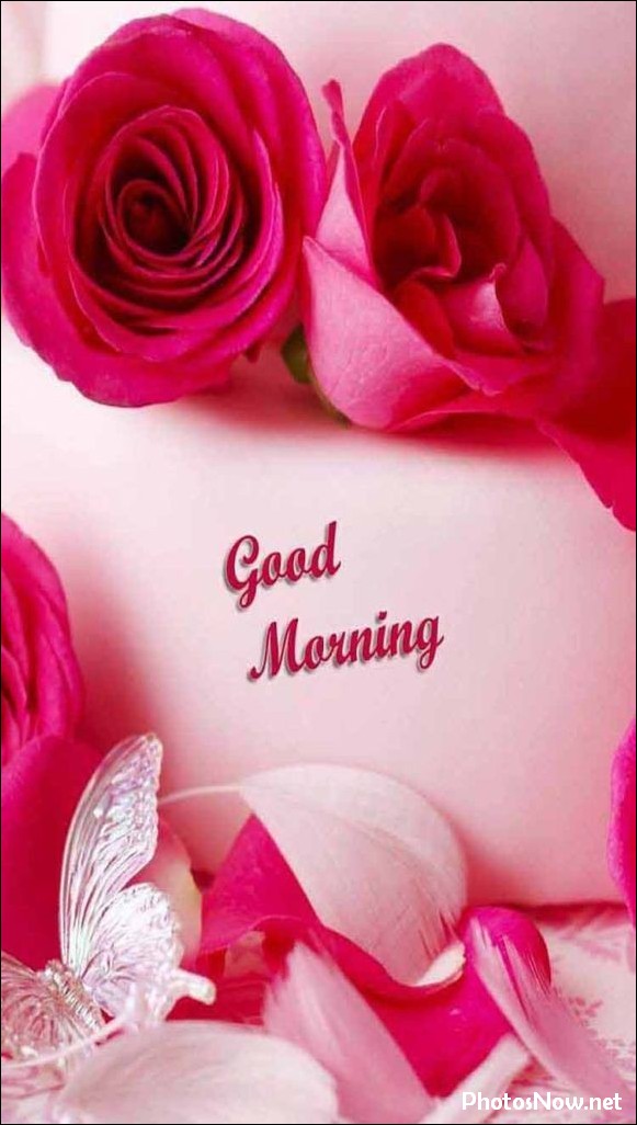 today-special-good-morning-images today-special-good-morning-images
