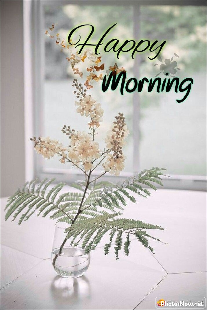 today-special-good-morning-images today-special-good-morning-images