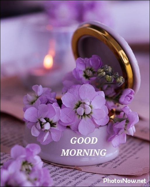 today-special-good-morning-images today-special-good-morning-images