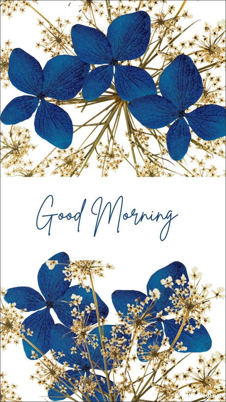 today-special-good-morning-images today-special-good-morning-images