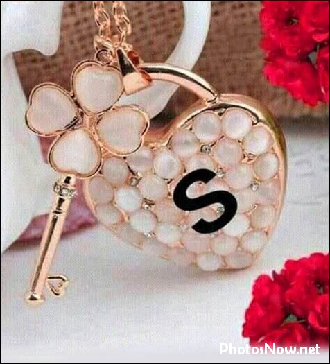 s-name-dp20 s-name-dp