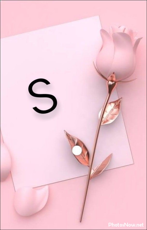 s-name-dp23 s-name-dp