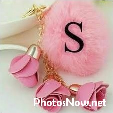 s-name-dp24 s-name-dp
