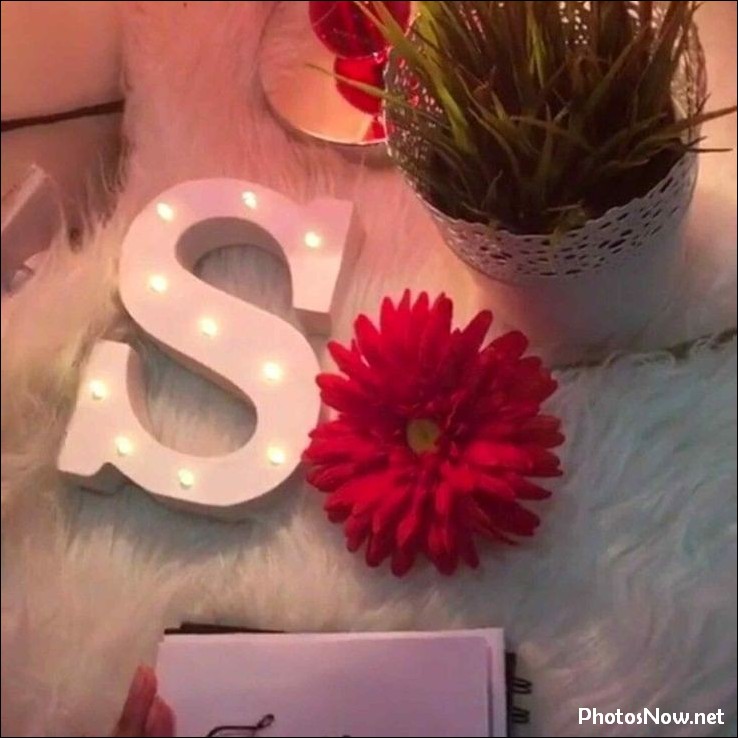 s-name-dp25 s-name-dp