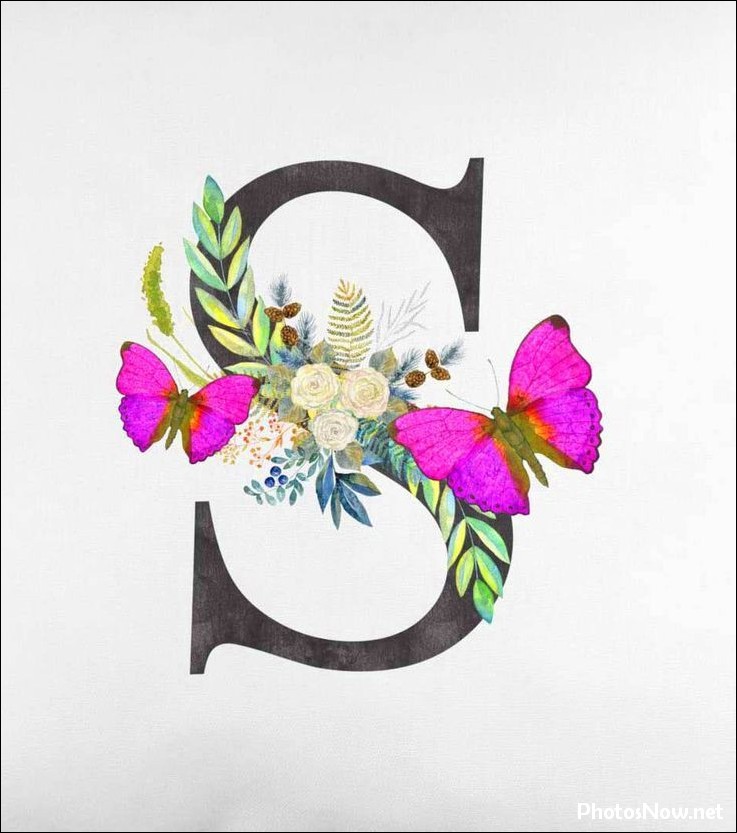 s-name-dp28 s-name-dp
