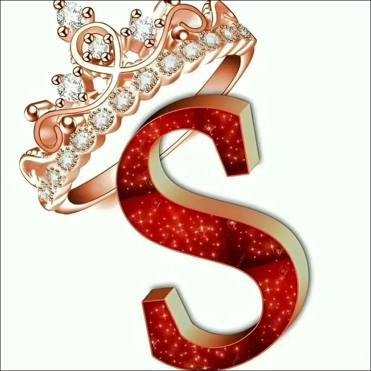 s-name-dp4 s-name-dp