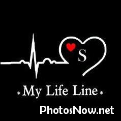s-name-dp44 s-name-dp