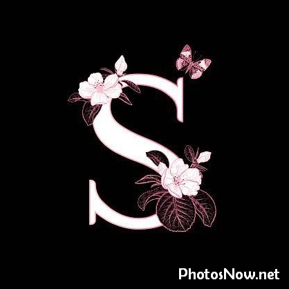 s-name-dp46 s-name-dp