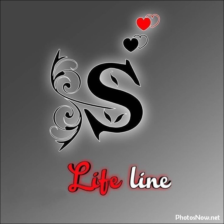 s-name-dp50 s-name-dp