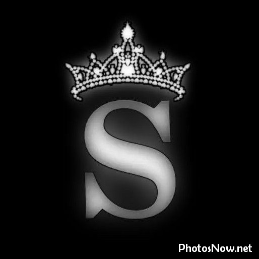 s-name-dp51 s-name-dp