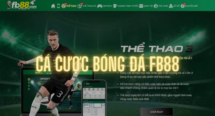 Everything You Should Know About Fb88 Promotions