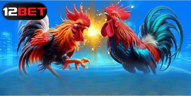 The Most Popular 12bet Cockfighting Bets in 2025 Cockfighting