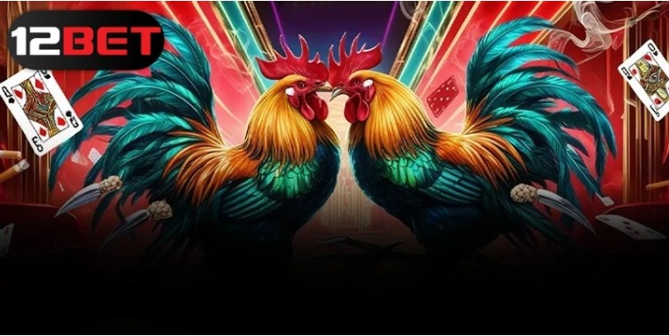 The Most Popular 12bet Cockfighting Bets in 2025 Cockfighting