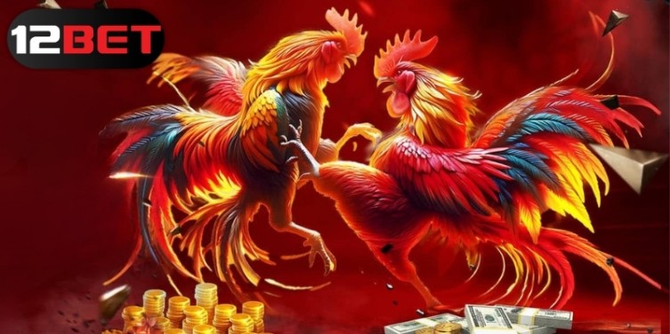 The Most Popular 12bet Cockfighting Bets in 2025