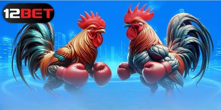 The Most Popular 12bet Cockfighting Bets in 2025 Cockfighting