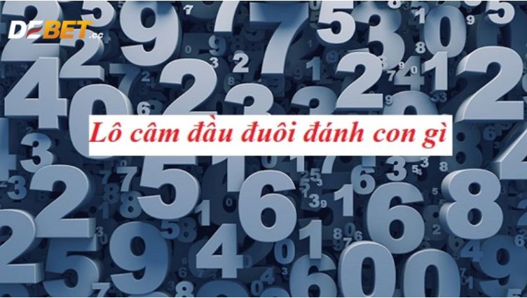 How to play the lottery with the first and last numbers being dumb, the simplest and easiest way to win numbers