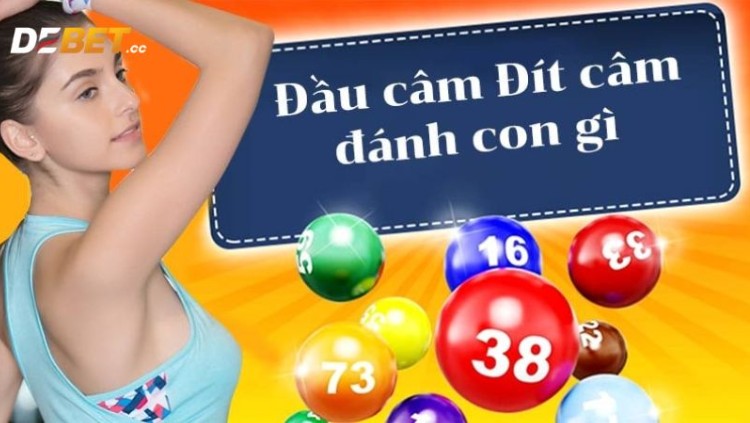 How to play the lottery with the first and last numbers being dumb, the simplest and easiest way to win