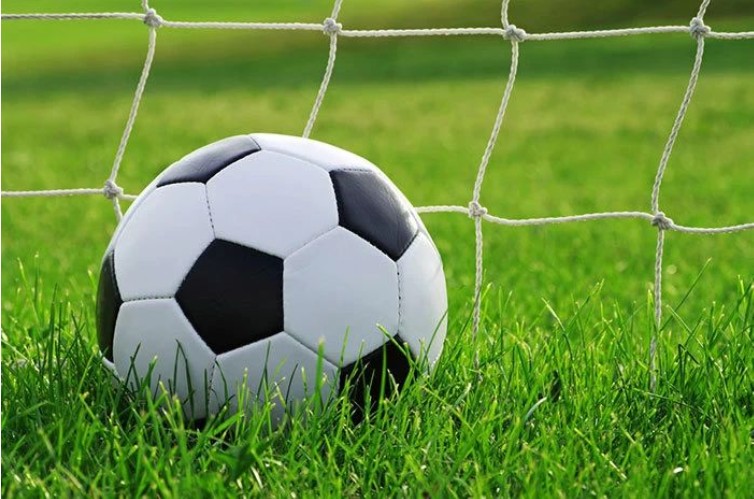 Watch Live Sports – Immerse Yourself In The Intense Match Atmosphere! Live Sports
