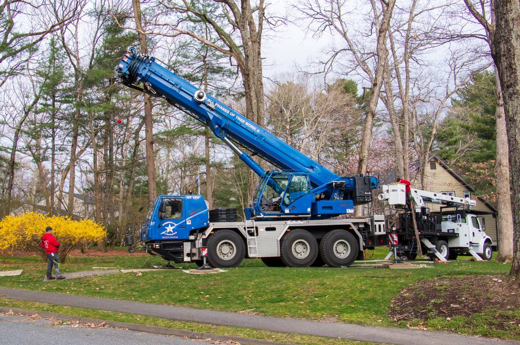 The Advantages of Using a Remote-Controlled Tree Removal Crane
