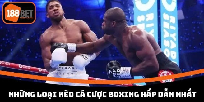 188BET Boxing Betting, Tactical Boxing Moves 188BET