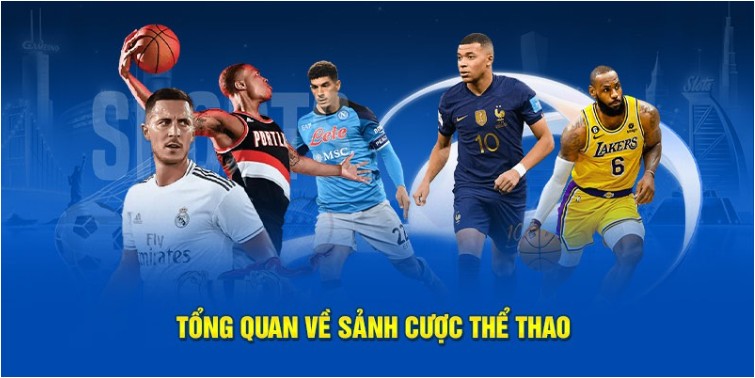 Today's football odds, how many matches to bet on - Things to know before betting football