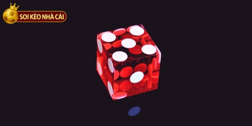 House Odds Analysis - Betting Strategy for Beginners House