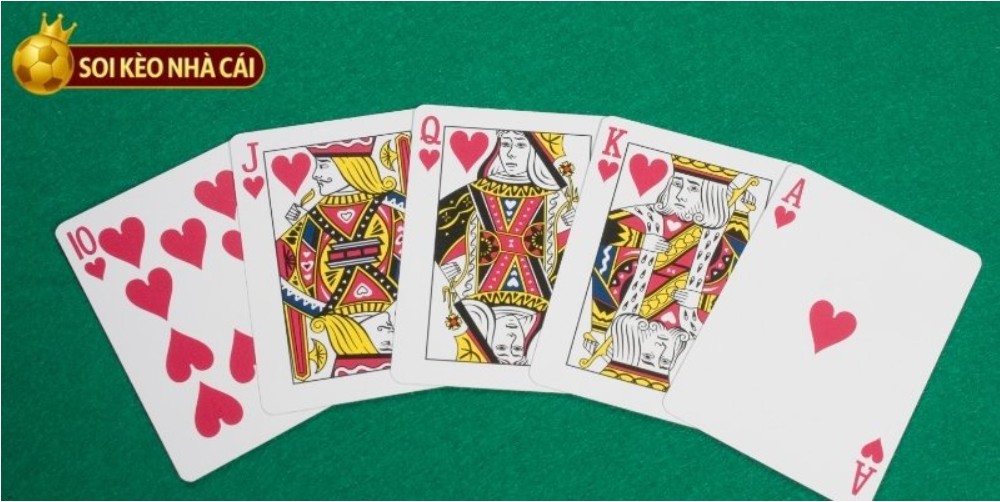 House Odds Analysis - Betting Strategy for Beginners House