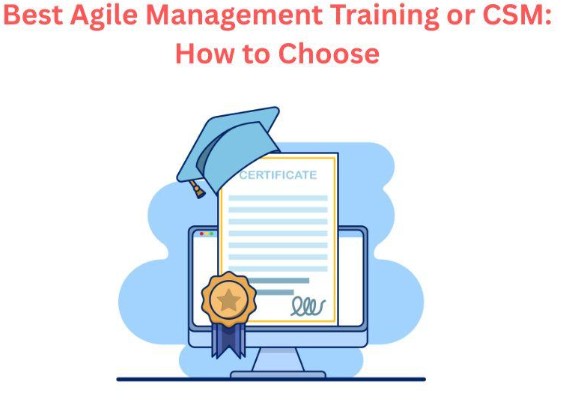 Best Agile Management Training or CSM: How to Choose